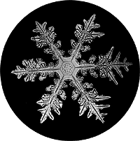 snowflake 